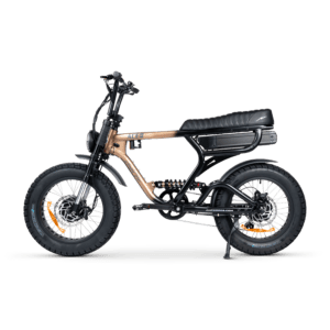 dual motor electric bike​