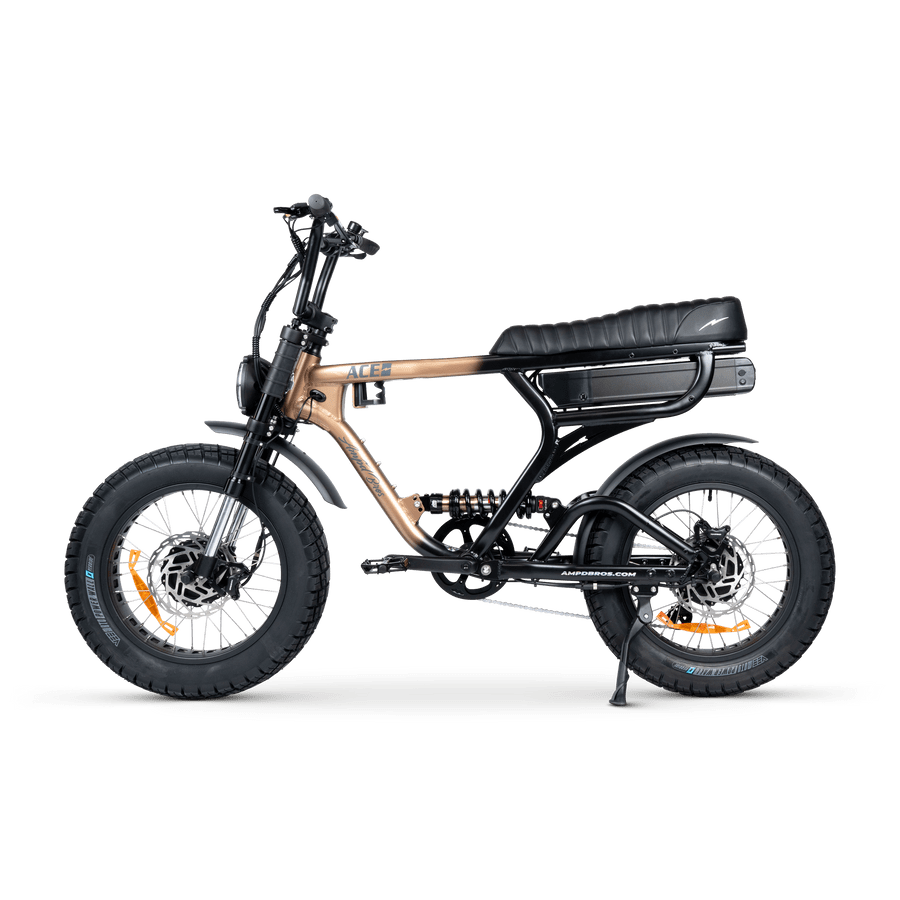 dual motor electric bike